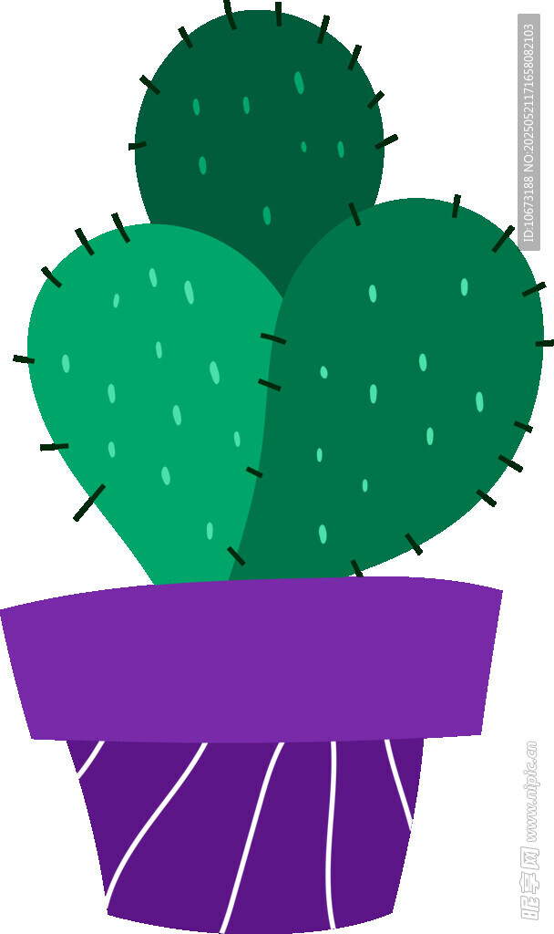 紫色花盆中的绿色仙人掌