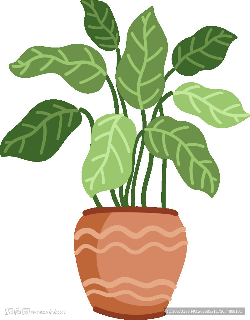 陶盆中的翠绿室内植物