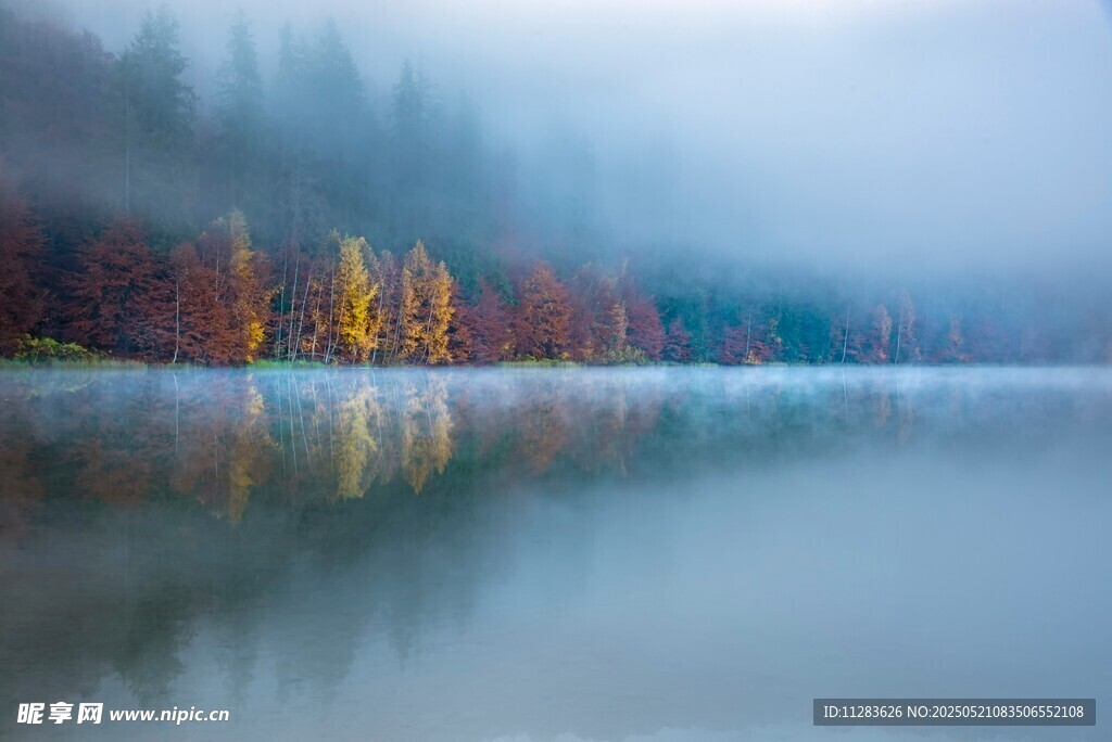湖畔秋景 雾霭中的斑斓树林