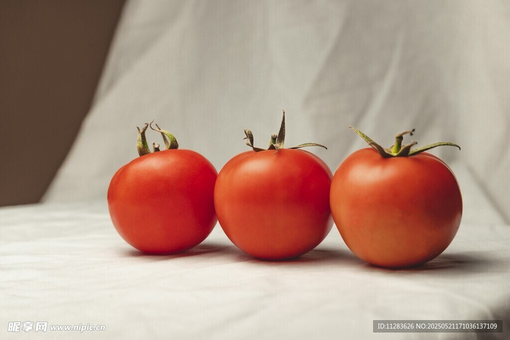 三颗鲜润西红柿静物图