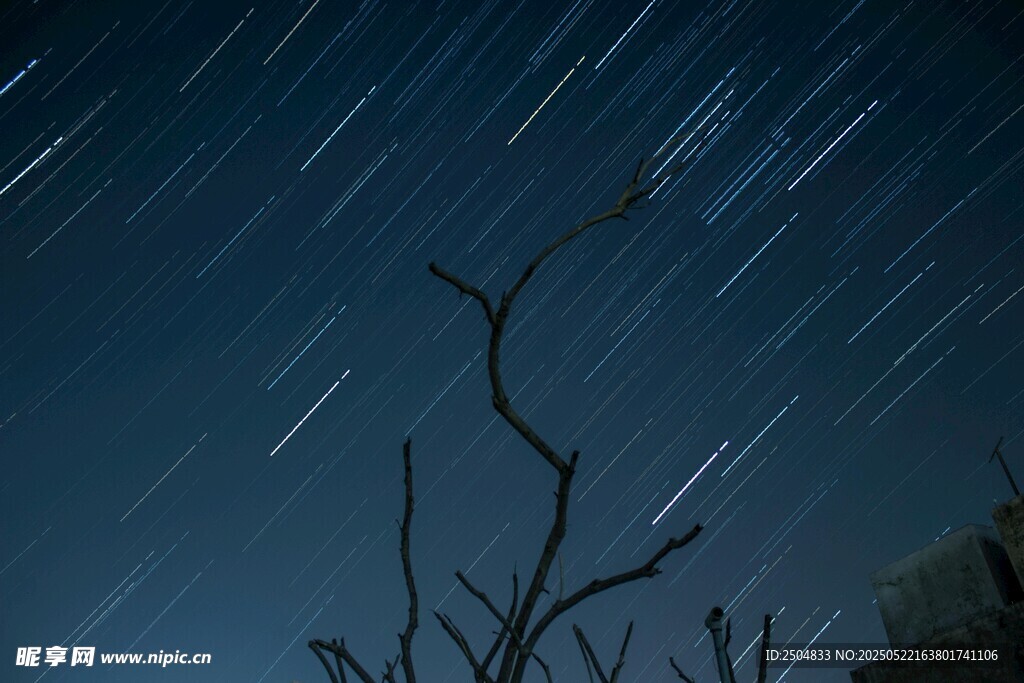 夜空星轨下的枯树枝桠