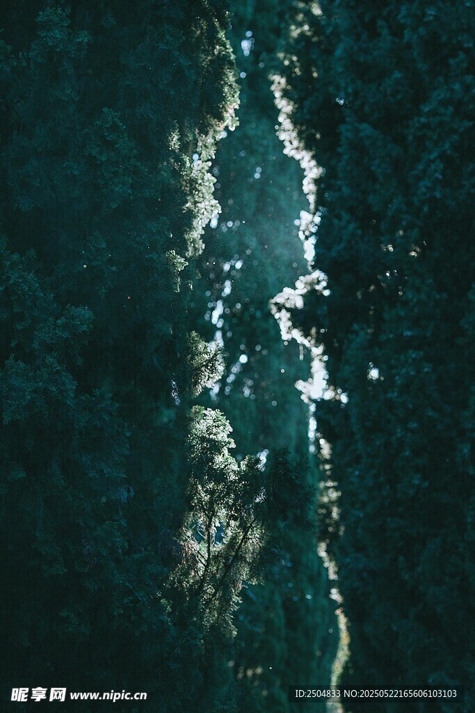 俯瞰翠绿山林中的蜿蜒溪流