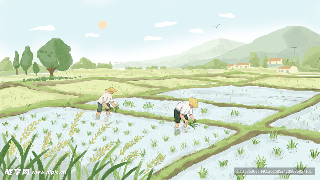 水田插秧图
