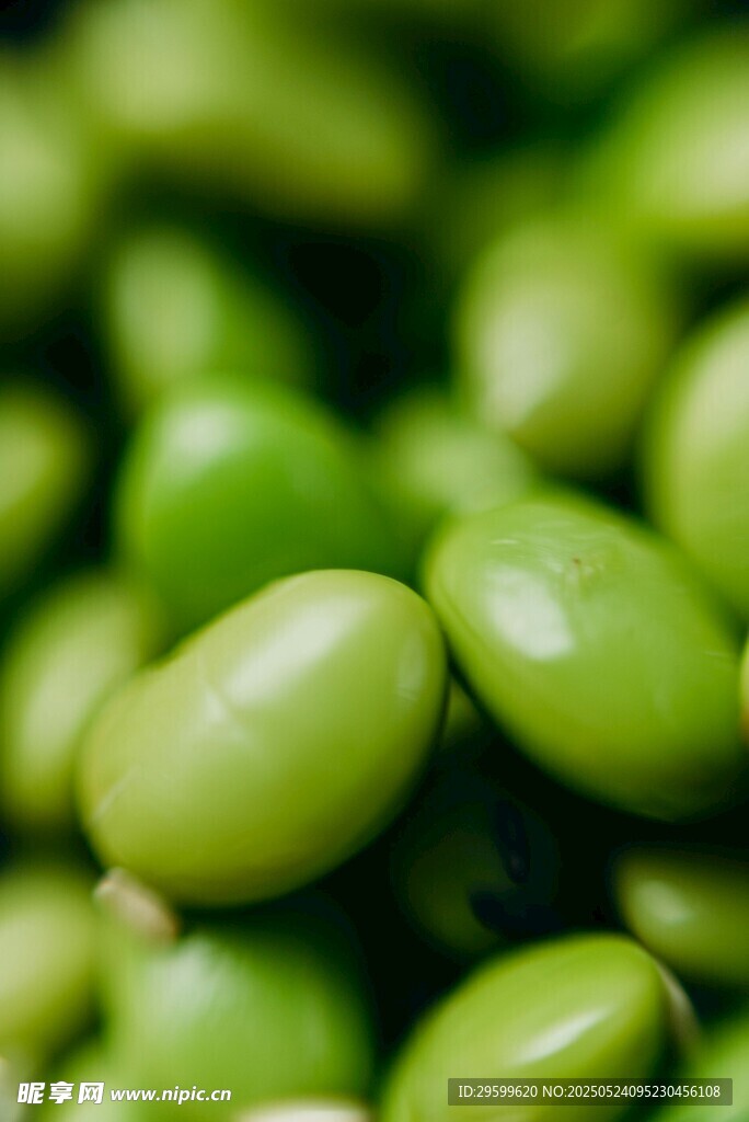 鲜嫩青豆特写