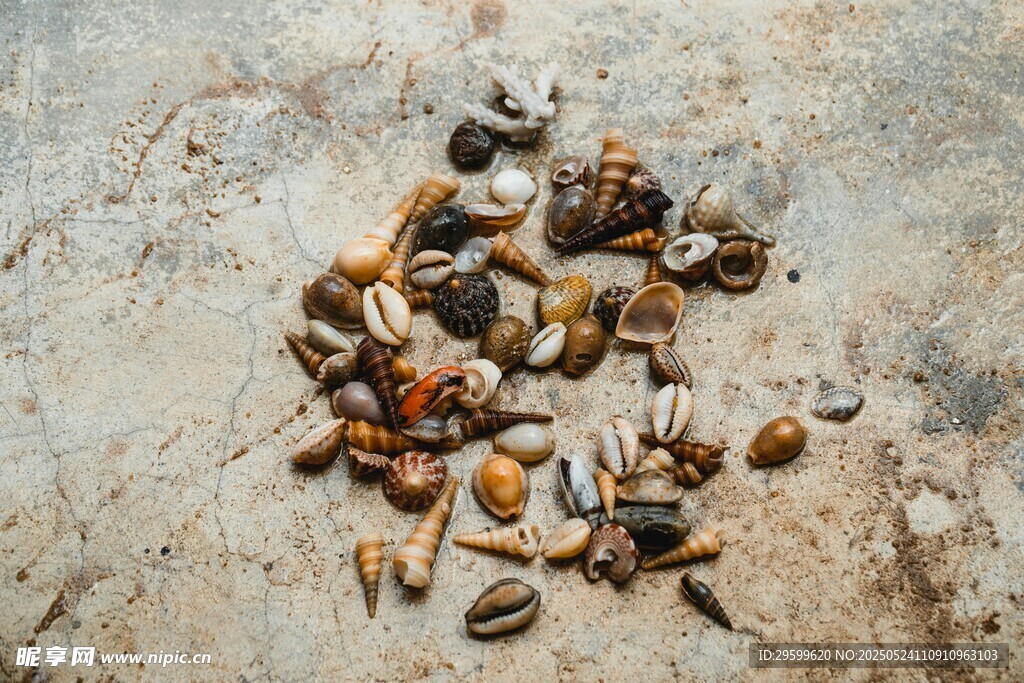 散落的多彩种子