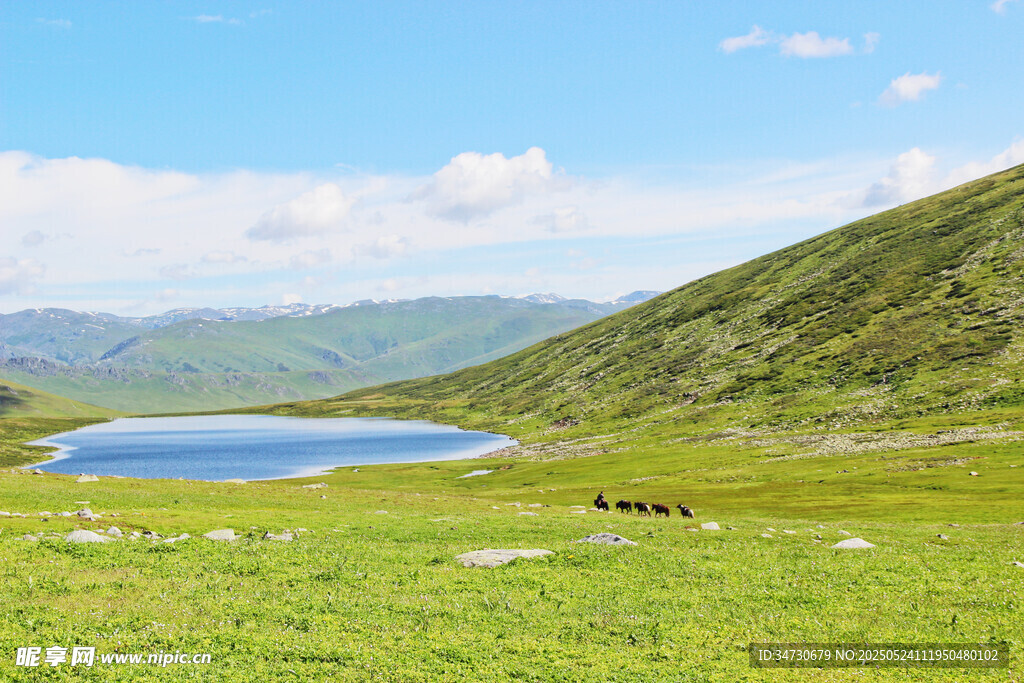 山间湖畔的悠然草原风光