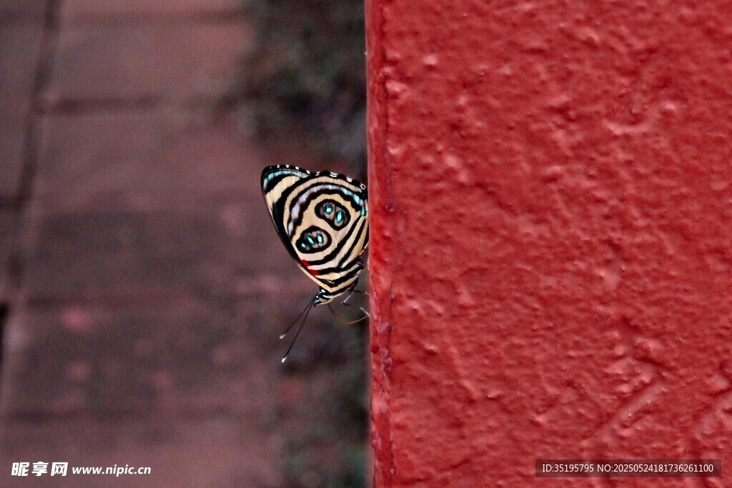 红墙旁的精致金属装饰物