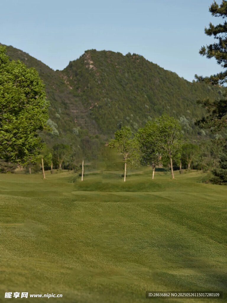 绿意盎然的高尔夫球场风光