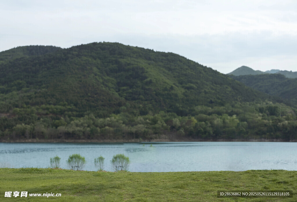 湖畔青山绿树自然风光