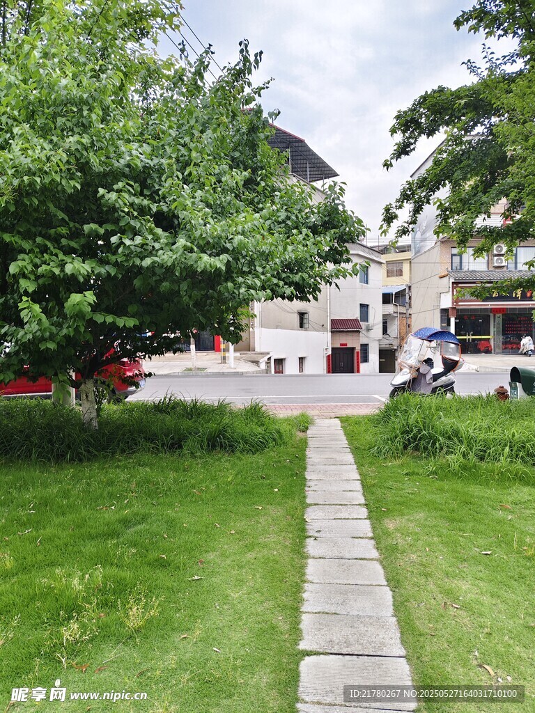 城市中静谧的绿地小径