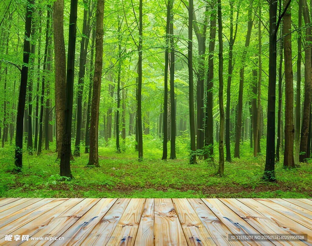 秋季野外风光卡通插画儿童画