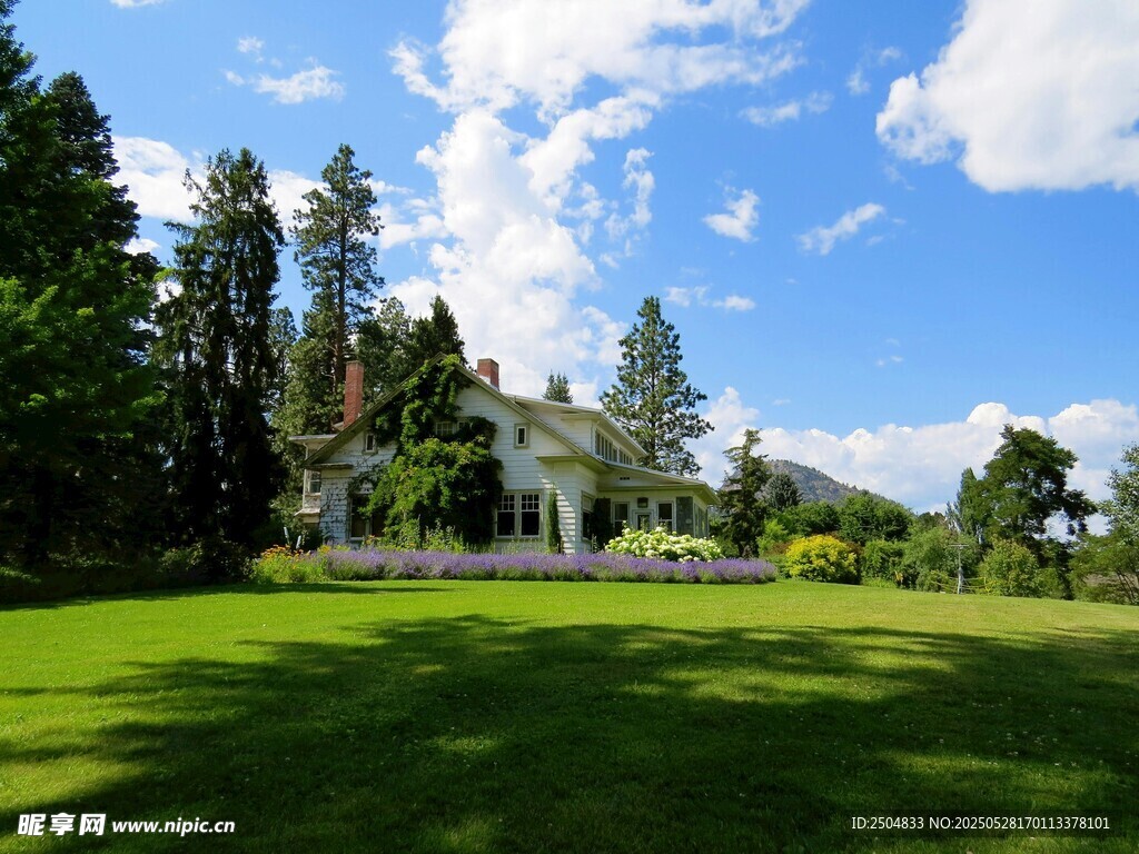 美丽户外草坪与树林景观
