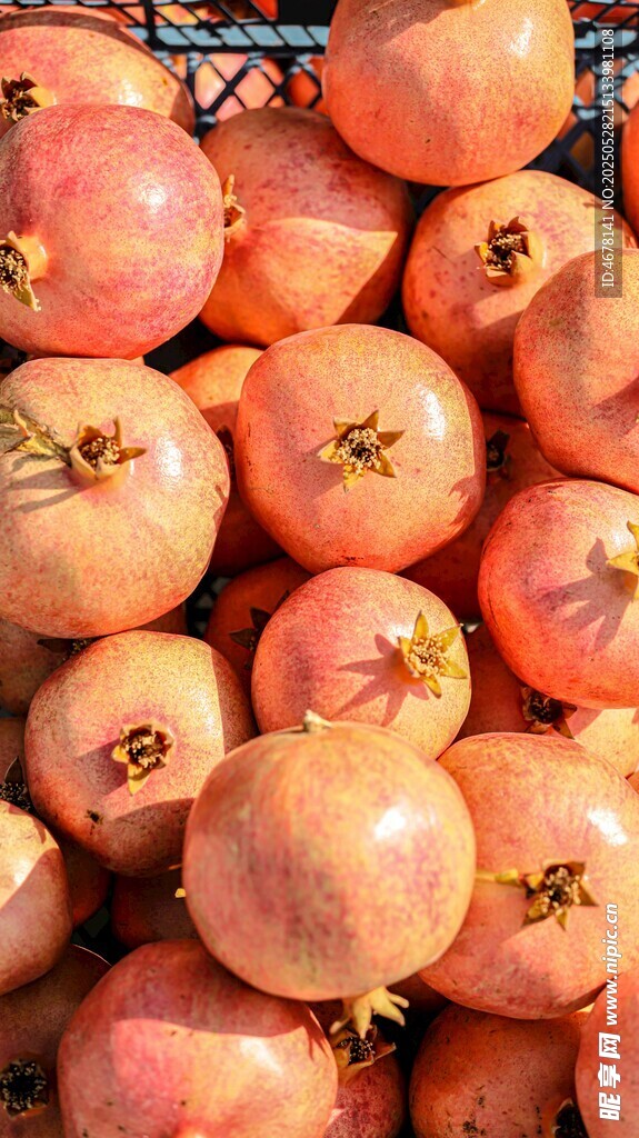 一堆饱满诱人的新鲜石榴