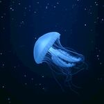 梦幻水母在深海中飘逸