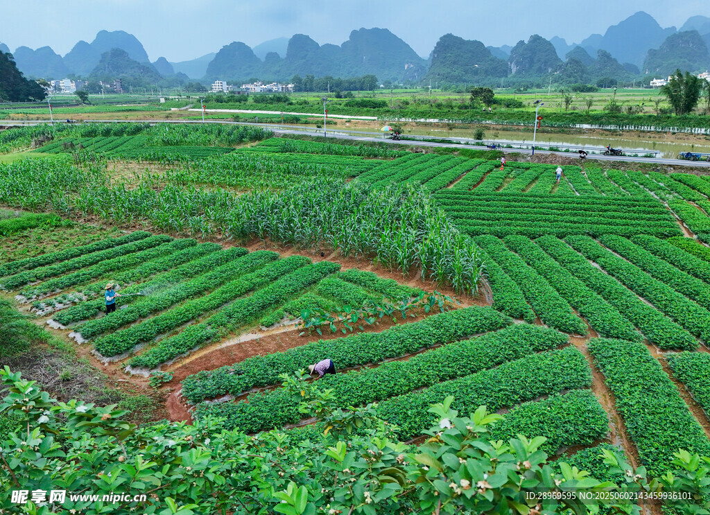 英西峰林田园风光
