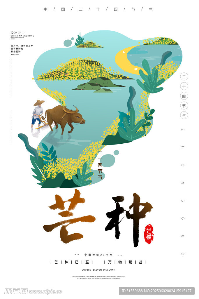 二十四节气芒种油菜花田山水耕田