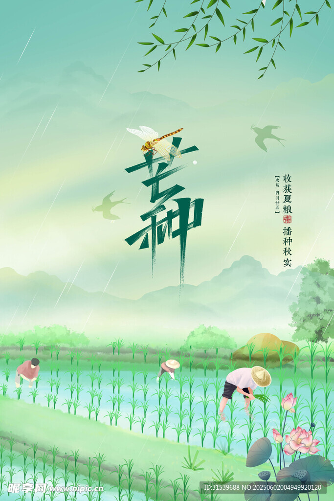 中式山水种植二十四节气芒种节气