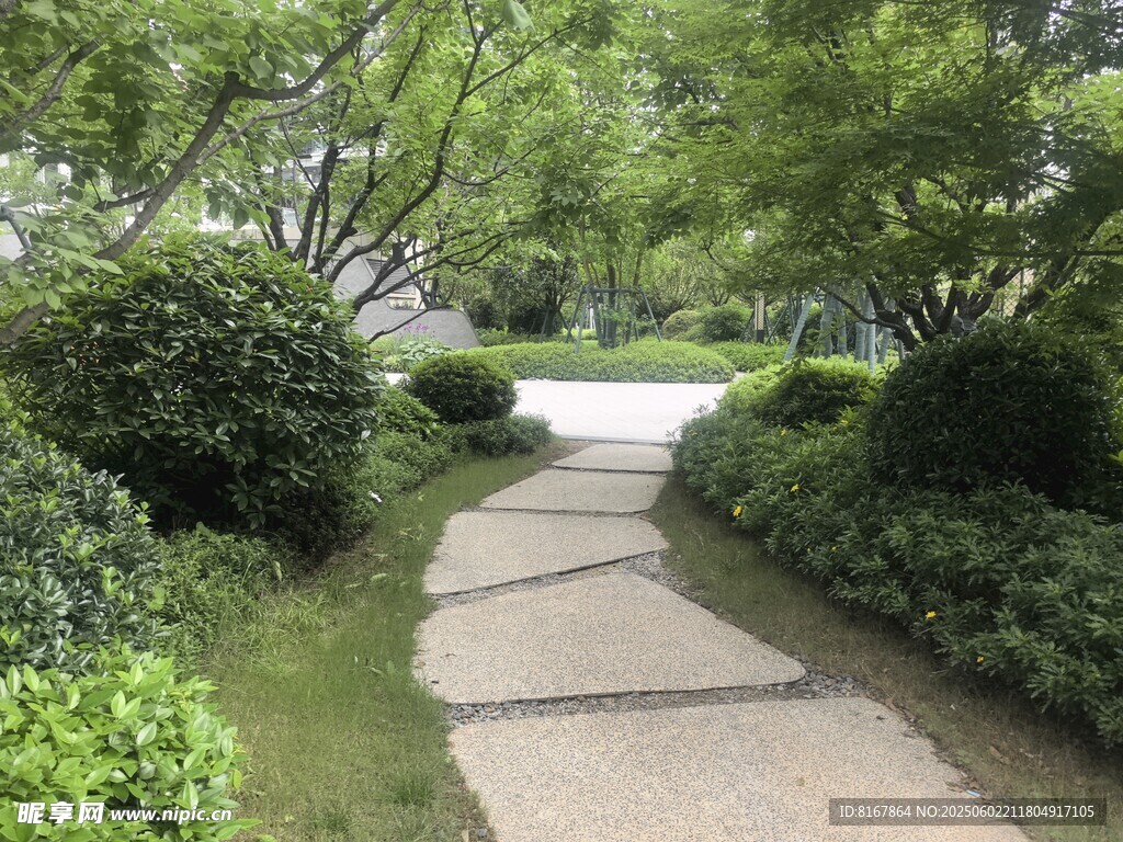 林间石板小径绿意盎然