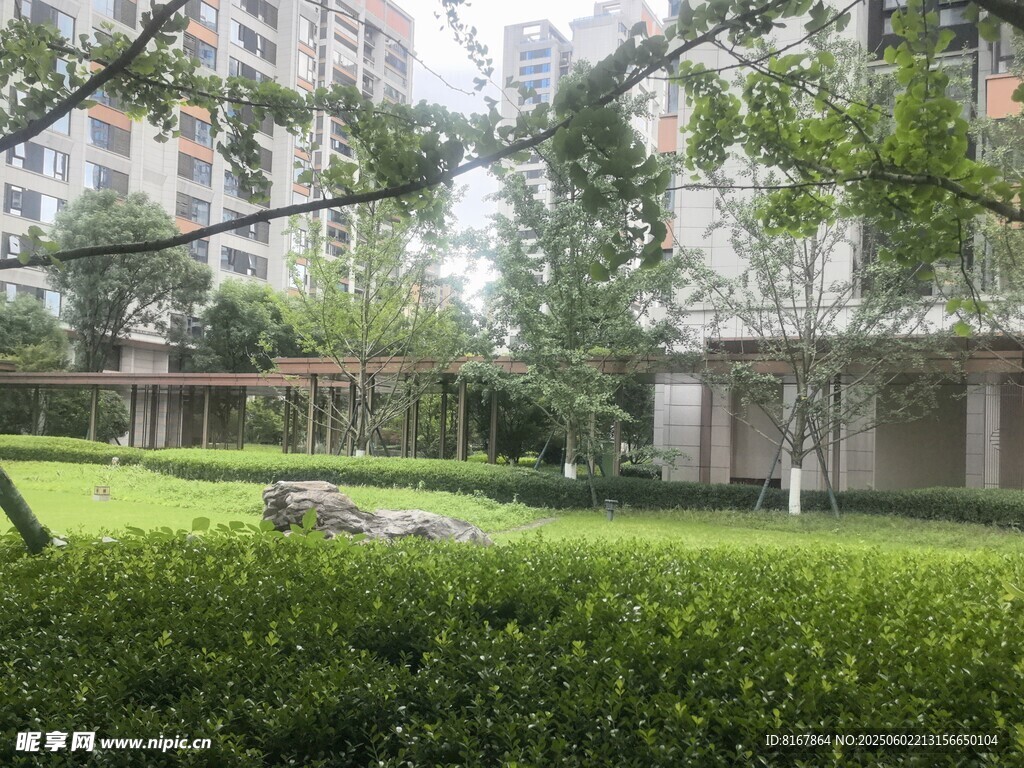 小区内绿意盎然的景观