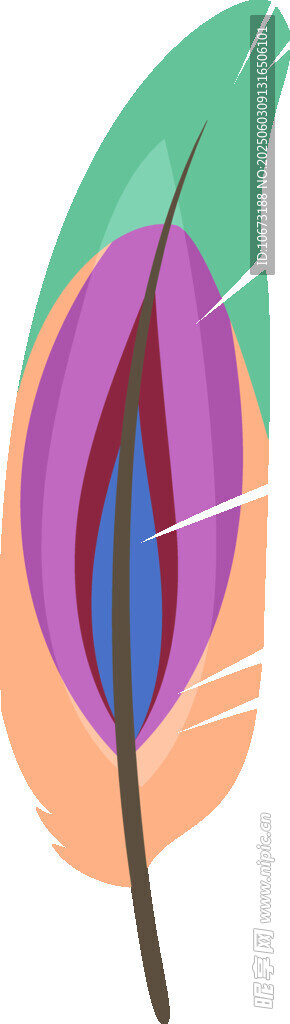 彩色羽毛插画