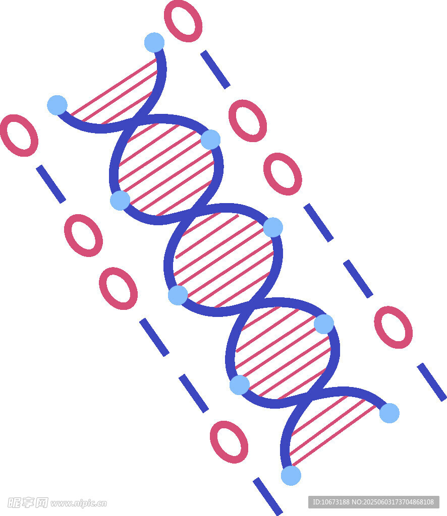 双螺旋DNA结构示意图