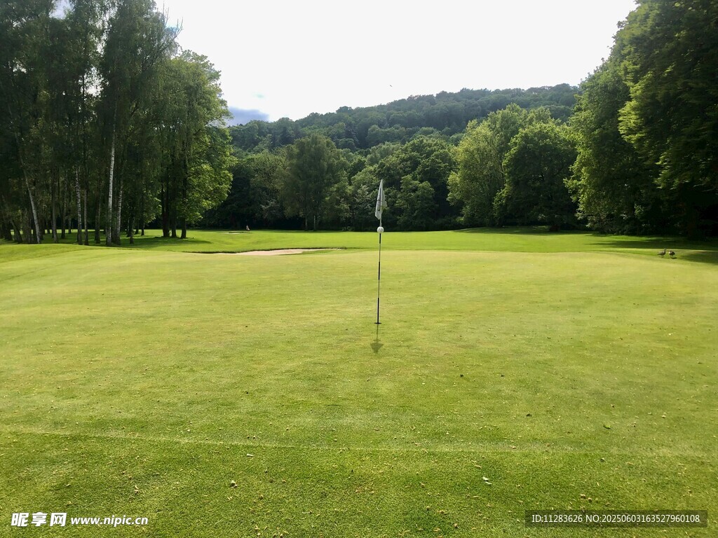 绿茵高尔夫球场风景