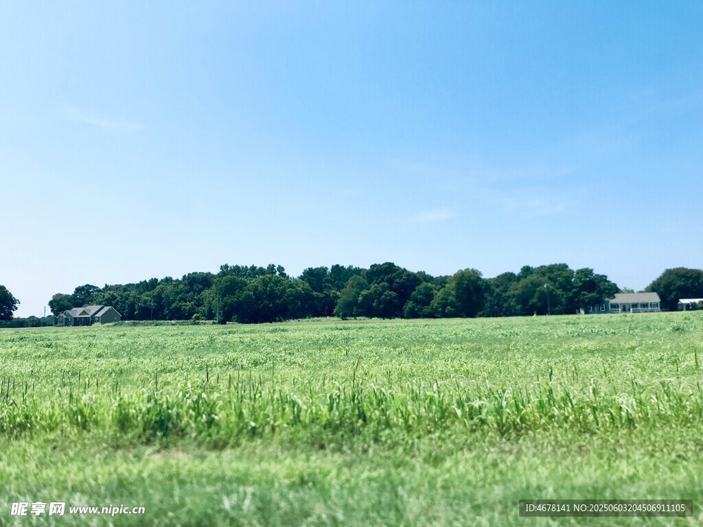 广袤绿野与远处林木景观