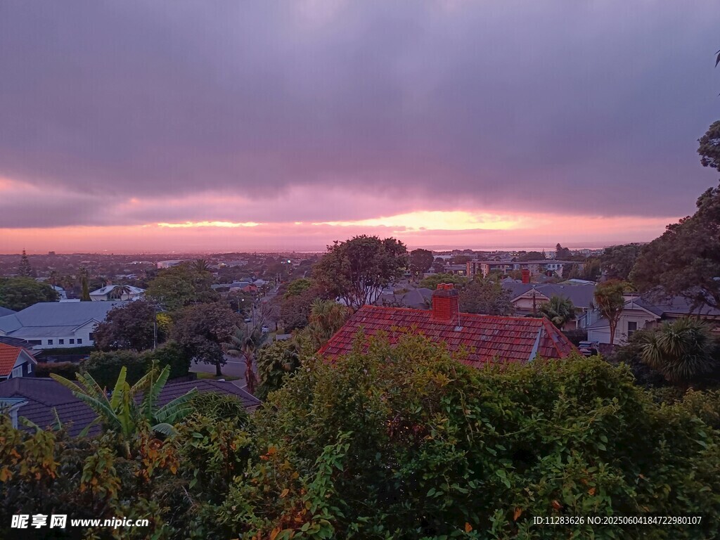 黄昏下的城市与繁茂植被
