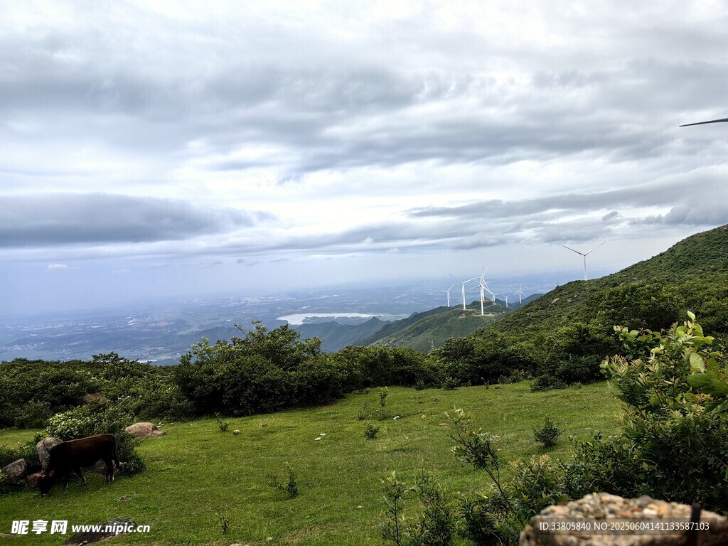 山间绿野望碧海云天