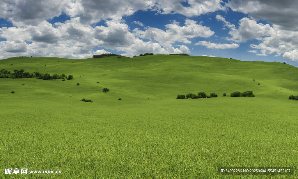 广袤绿野蓝天白云美景