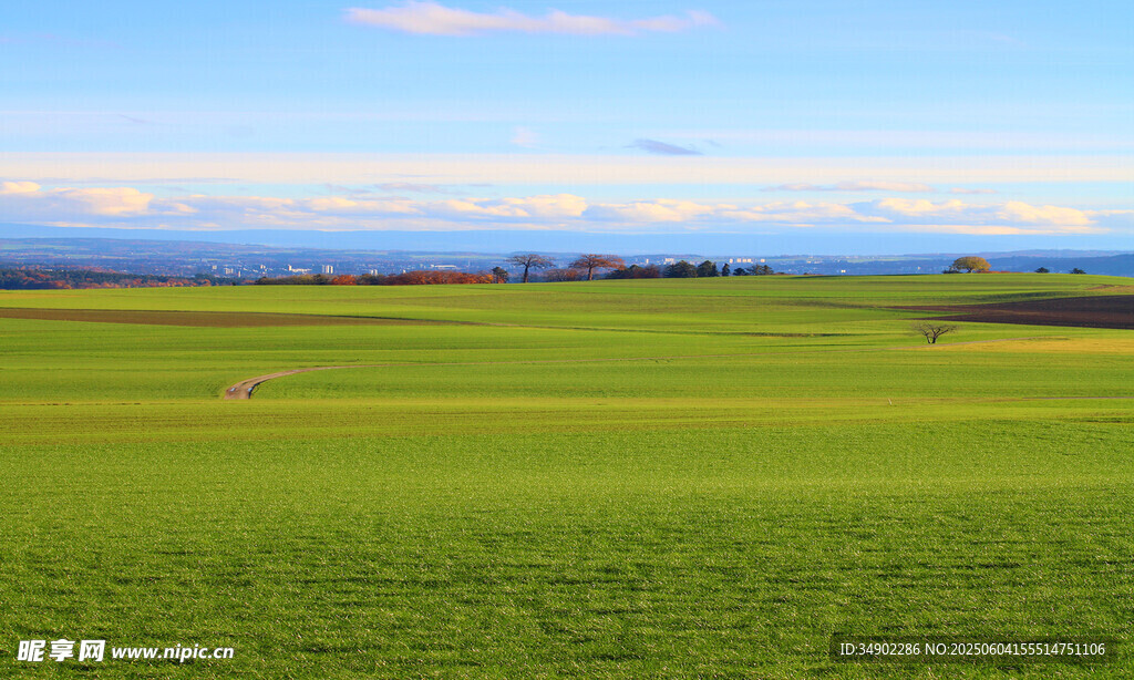 广袤绿野风光