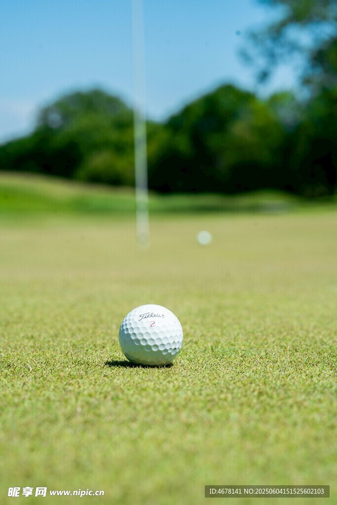 绿茵上的高尔夫球