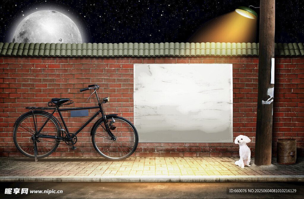月夜下的砖墙旁单车与猫