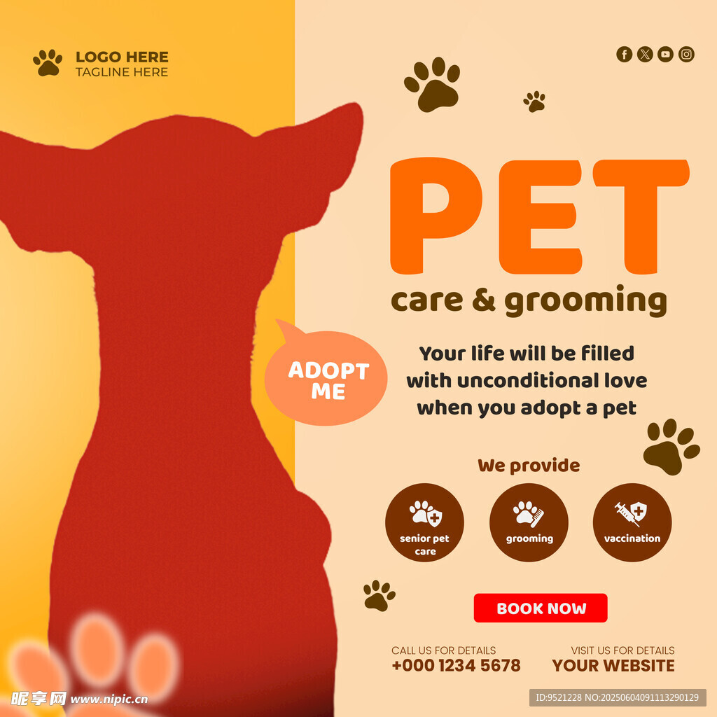 宠物护理宣传主图