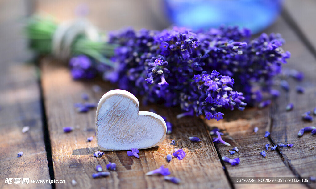 心形装饰与紫色薰衣草
