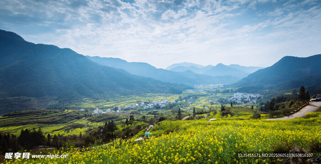 山间油菜花海田园美景