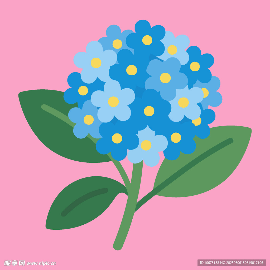 蓝色绣球花插画