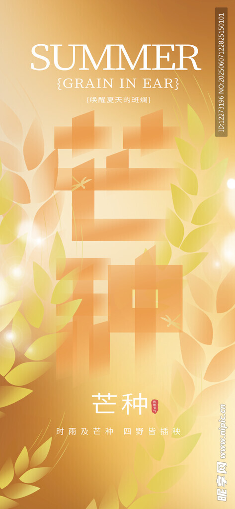 夏日芒种节气清新插画