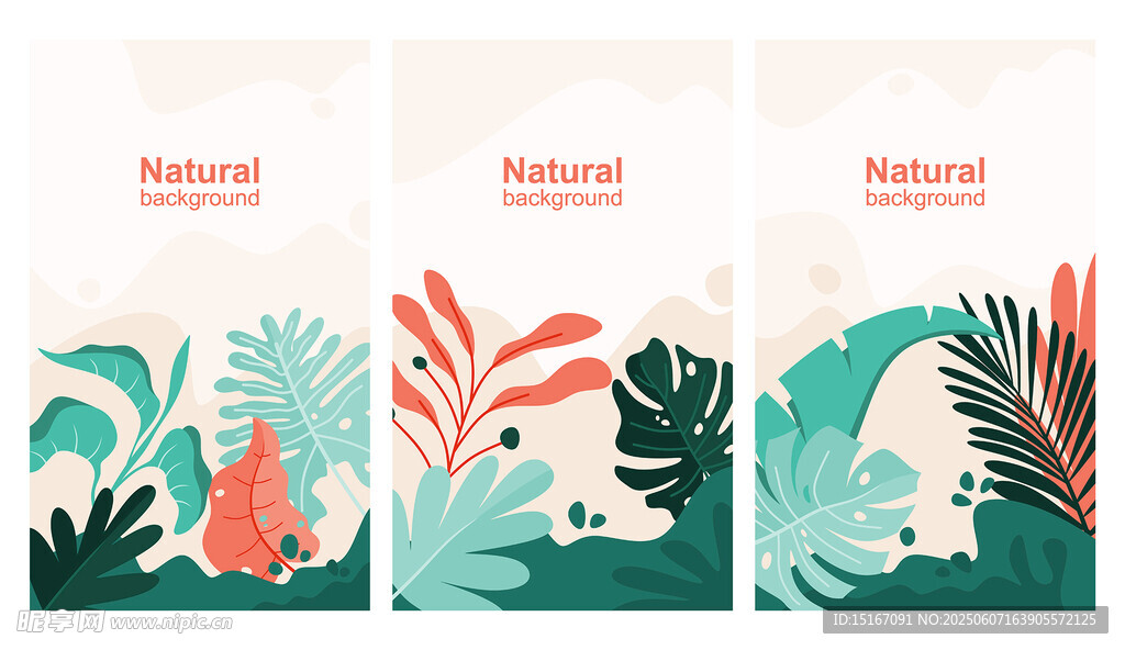 热带植物插画海报设计