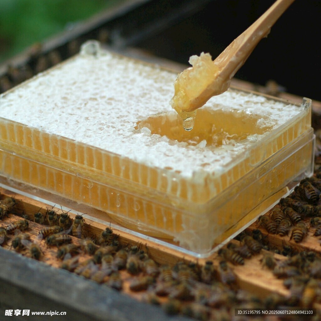 蜂巢取蜜瞬间