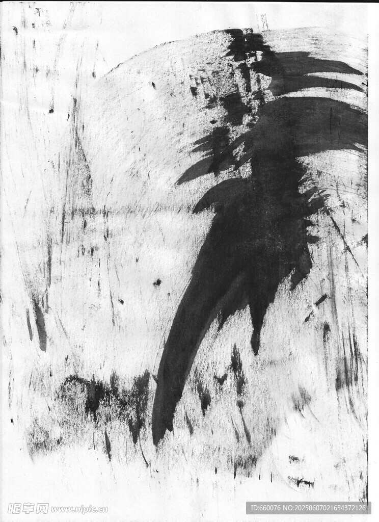 黑白抽象水墨飞鸟图景