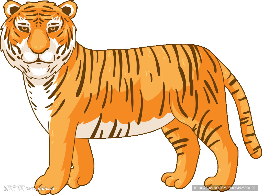 站立的卡通老虎形象
