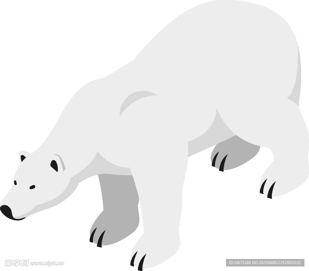 站立的北极熊插画