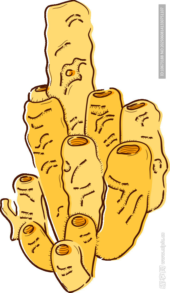 卡通风格的竹笋插画