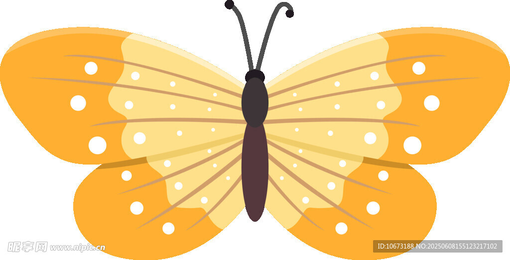 橙色斑点蝴蝶插画