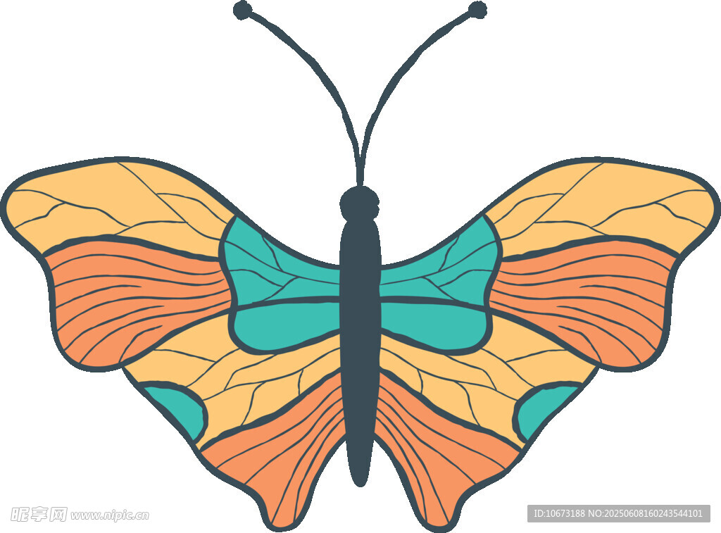 彩色蝴蝶插画图案设计