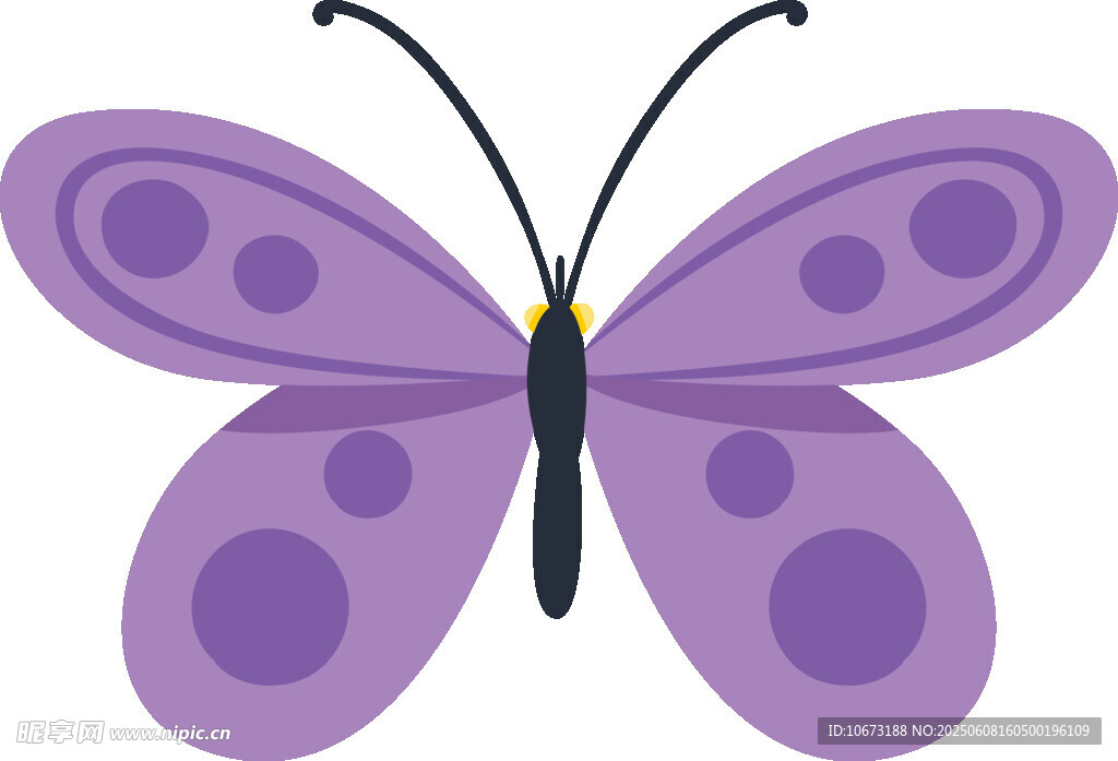 紫色斑点蝴蝶插画