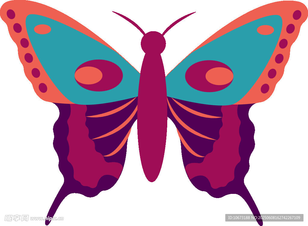 彩色蝴蝶插画