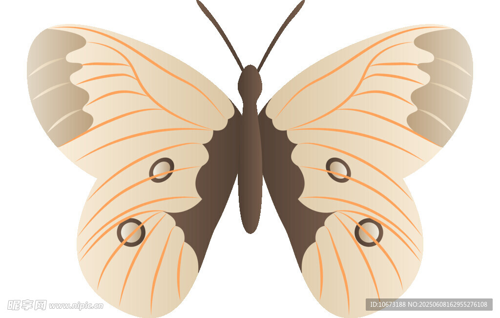 简约风格蝴蝶插画图案