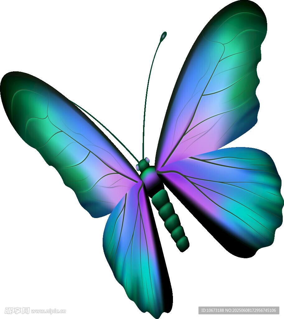 绚丽多彩蝴蝶插画